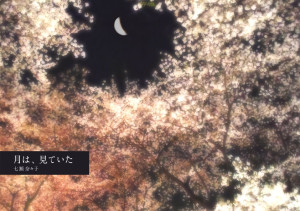 幻想的な夜桜+月のイメージ。
